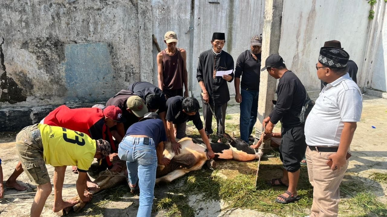 Tina Wiryawati Maknai Idul Adha dengan Berbagi Kebahagiaan Melaksanakan Kurban Bersama Masyarakat Kuningan
